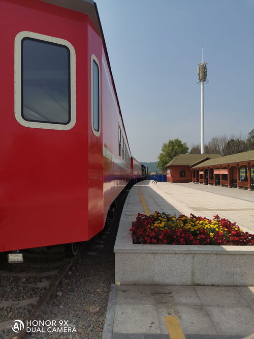 路產利用與林區景點 評伊春區鐵路公園及林都號觀光列車的特色價值